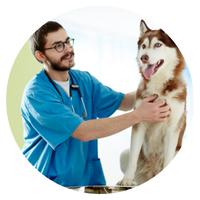 pet health market research