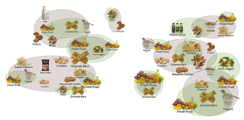 Exploring Differences and Desired Product Attributes for Healthy and Wholesome Snacks