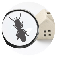 pest control market research